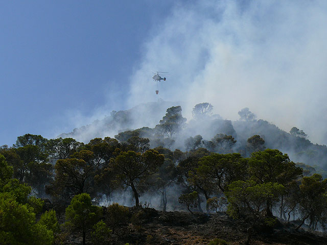 Ya se encuentra controlado el incendio originado en Santa Ana del Monte - 2, Foto 2