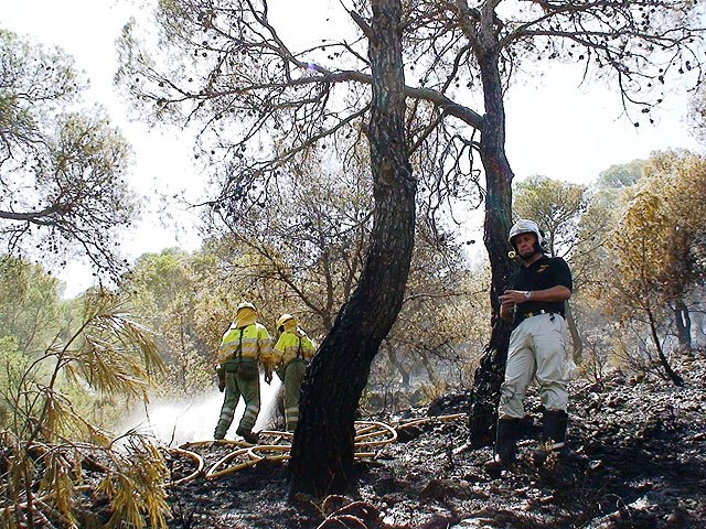 La rápida intervención de los efectivos del Plan Infomur logra que sólo se quemen 2,8 hectáreas en el monte Santa Ana, en Jumilla - 1, Foto 1