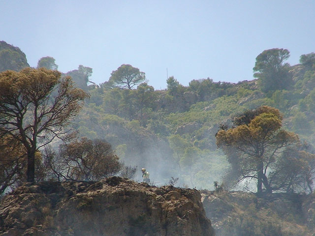 La rápida intervención de los efectivos del Plan Infomur logra que sólo se quemen 2,8 hectáreas en el monte Santa Ana, en Jumilla - 2, Foto 2