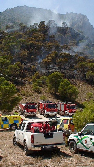 La rápida intervención de los efectivos del Plan Infomur logra que sólo se quemen 2,8 hectáreas en el monte Santa Ana, en Jumilla - 3, Foto 3