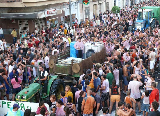 Miles de personas, un año más, asistieron a la gran Cabalgata del Vino de Jumilla - 2, Foto 2