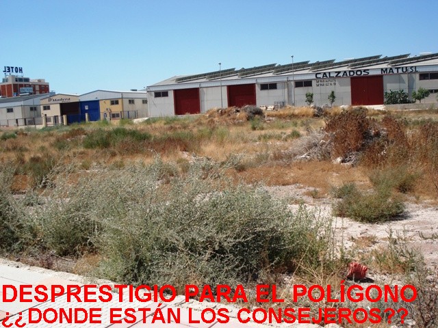 IU complaint "state of apathy which is Phase III of the industrial estate Totana, Foto 1
