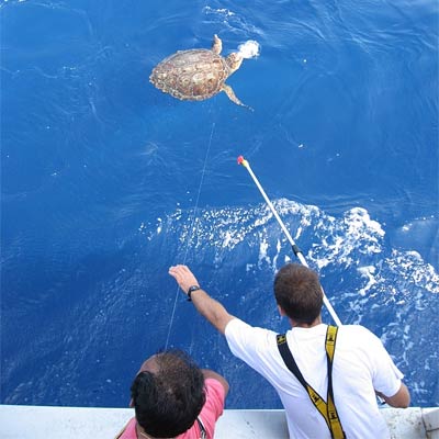 pescado utilizando una pértiga de corte, Foto 2