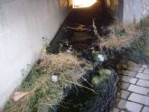 El PSOE de Archena pone en conocimiento del SEPRONA y de la CHS los vertidos incontrolados de aguas residuales producidos en el cauce natural de la “Rambla de las Arboledas”