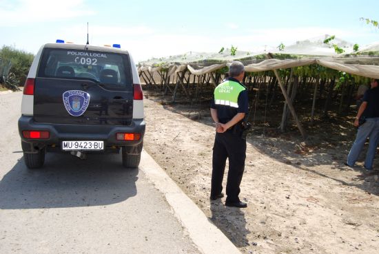 Guardia Civil, Policía Local y vigilantes rurales continúan peinando las zonas de cultivo de uva de mesa en Totana, Foto 1