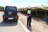 Guardia Civil, Policía Local y vigilantes rurales continúan peinando las zonas de cultivo de uva de mesa en Totana