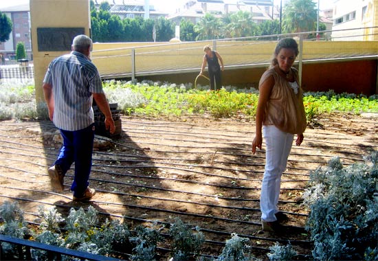 La Concejalía de Medio Ambiente y Calidad Urbana engalana la ciudad con motivo de las Feria de Septiembre - 1, Foto 1