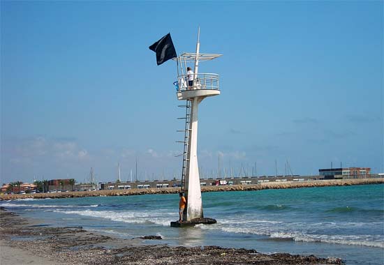Ecologistas en Acción protesta en la Playa de La Llana colocando una bandera negra - 1, Foto 1