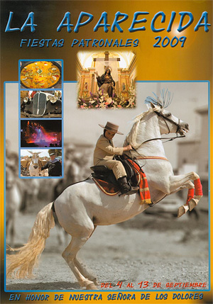 Fiestas Patronales de La Aparecida - 1, Foto 1