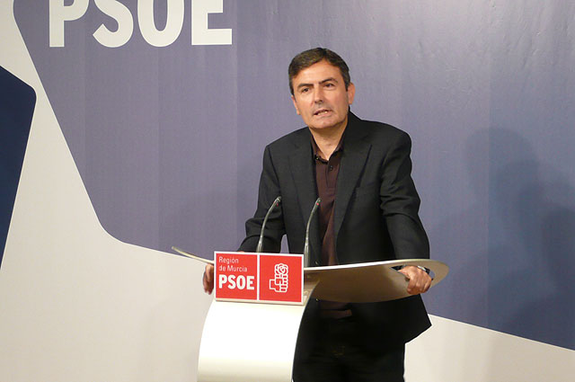 El PSOE presentará  en la Asamblea unos Presupuestos para 2010 - 1, Foto 1