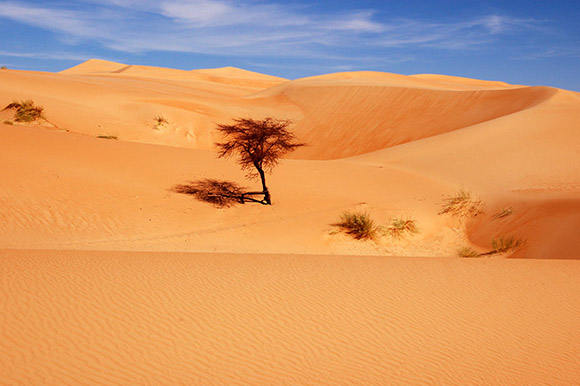 La fotógrafa Mar Sáez presenta mañana su visión sobre Chinguetti (Mauritania) en una exposición - 1, Foto 1