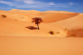 La fotgrafa Mar Sez presenta mañana su visin sobre Chinguetti (Mauritania) en una exposicin