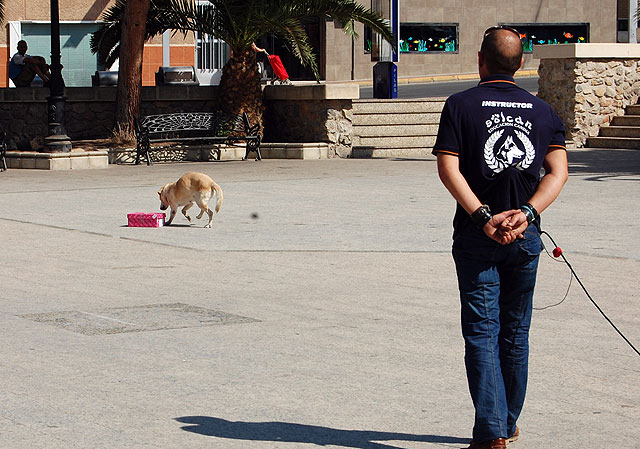La Policía Local de Lorquí quiere incorporar un perro a sus filas - 2, Foto 2