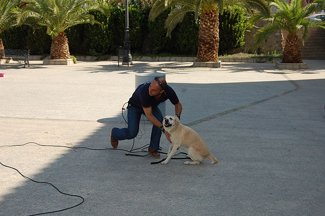 La Policía Local de Lorquí quiere incorporar un perro a sus filas - 3, Foto 3
