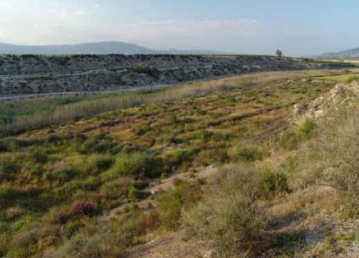Excursión senderista al Barranco Hondares, Foto 1
