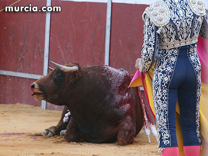 Ecologistas en Acción muestra su rechazo a las corridas de toros de la feria de Murcia - 1, Foto 1