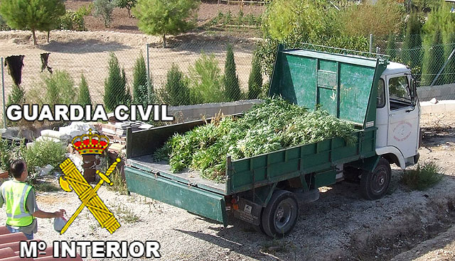 La Guardia Civil desmantela un nuevo punto de venta y distribución de marihuana en Calasparra - 3, Foto 3
