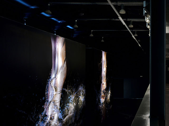 Marilyn Minter, Kicksilver, Foto 3