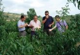 Agricultura firma un convenio con la Academia China de Gansu para la mejora gentica del melocotn