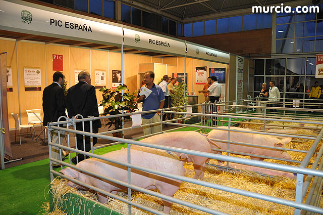 El alcalde y el concejal de Agricultura y Ganadería promocionan la “I Feria de Agricultura y Ganadería de Totana”, Foto 1