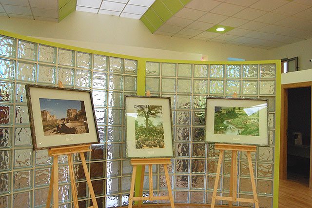Las Torres de Cotillas inauguró ayer una muestra de lo más acuática - 1, Foto 1