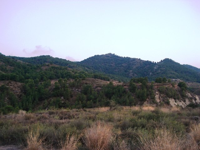 IU llevará al Pleno una moción para la ampliación de inversiones en el Medio Natural, como alternativa a la crisis, en una economía sostenible, Foto 1