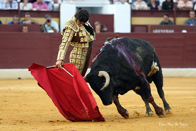 Talavante triunfa ante una corrida de Salvador Domecq a la que le falt fuerza - 10