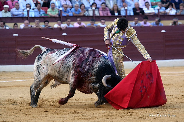 Talavante triunfa ante una corrida de Salvador Domecq a la que le falt fuerza - 6