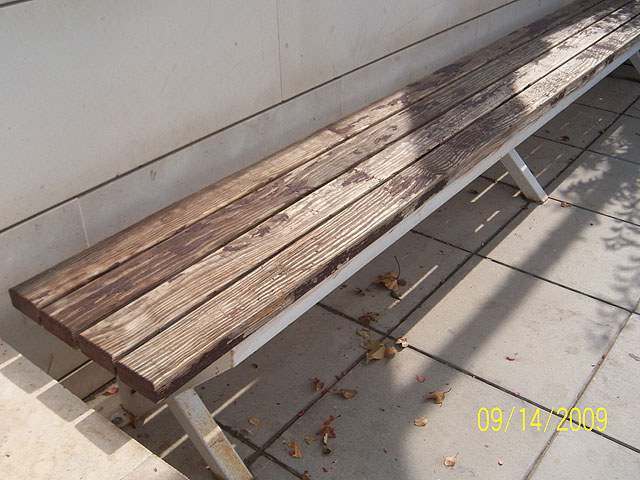 López lamenta la pasividad del Equipo de Gobierno del PP nte la falta de conservación de la Pasarela Manterota” - 3, Foto 3