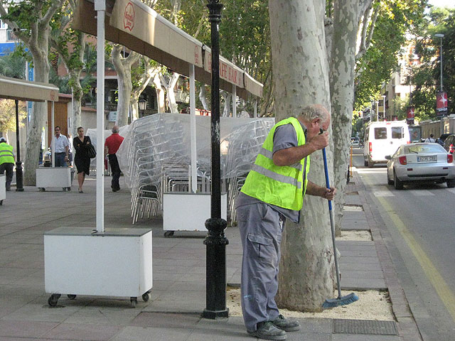 Alfonso X elimina barreras arquitectónicas con un nuevo pavimento para alcorques - 1, Foto 1