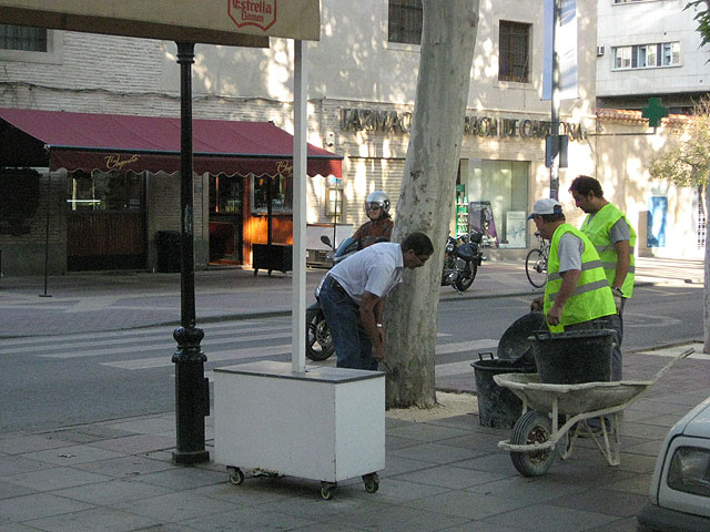 Alfonso X elimina barreras arquitectónicas con un nuevo pavimento para alcorques - 2, Foto 2