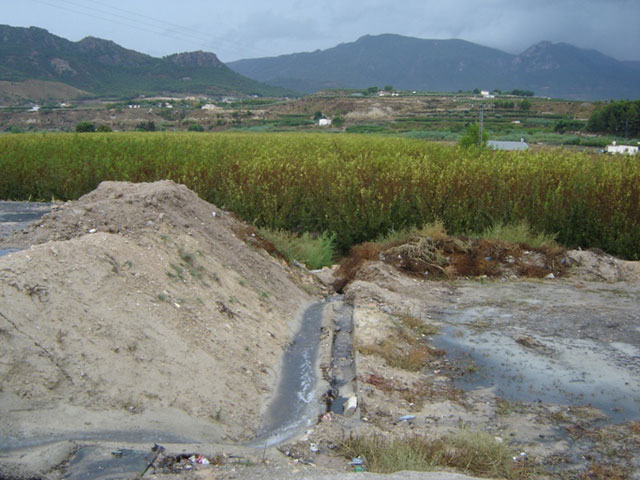 Las aguas fecales escurren hacia la huerta. Se aprecia, parcialmente, una parcela (derecha) inundada por aguas 