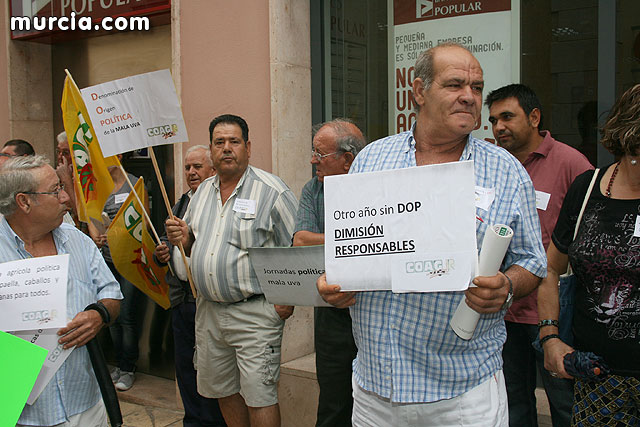 Mañana jueves, productores de Uvas de Espuña convocados por COAG, se concentrarn a las 16:30 horas ante el ayuntamiento de Totana - 22