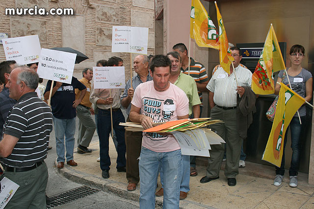 Mañana jueves, productores de Uvas de Espuña convocados por COAG, se concentrarn a las 16:30 horas ante el ayuntamiento de Totana - 23