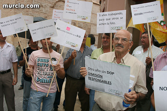 Mañana jueves, productores de Uvas de Espuña convocados por COAG, se concentrarn a las 16:30 horas ante el ayuntamiento de Totana - 31