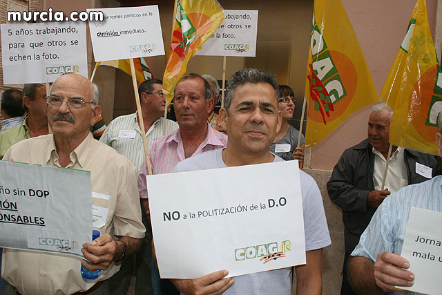 Mañana jueves, productores de Uvas de Espuña convocados por COAG, se concentrarn a las 16:30 horas ante el ayuntamiento de Totana - 32