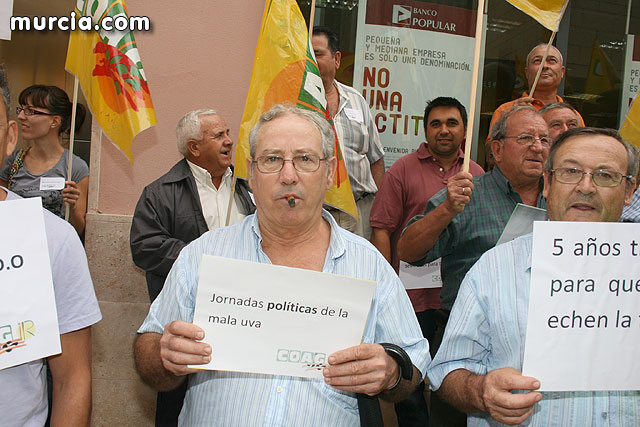 Mañana jueves, productores de Uvas de Espuña convocados por COAG, se concentrarn a las 16:30 horas ante el ayuntamiento de Totana - 33