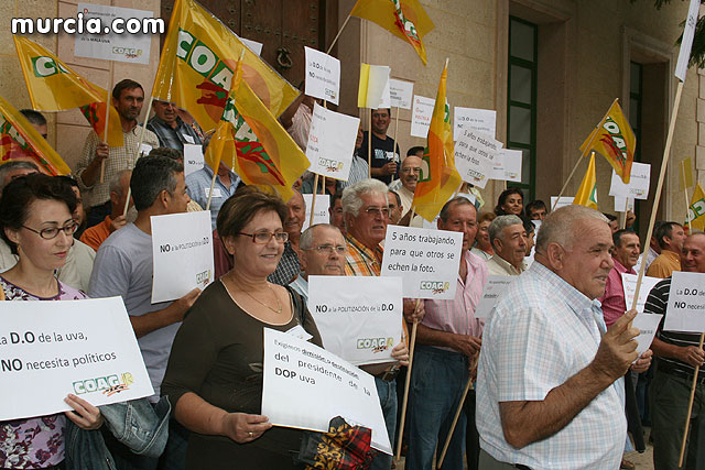 Mañana jueves, productores de Uvas de Espuña convocados por COAG, se concentrarn a las 16:30 horas ante el ayuntamiento de Totana - 44