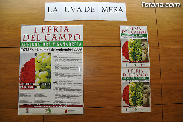 Alrededor de cincuenta personas participan en las primeras jornadas tcnicas sobre “La uva de mesa” - 4