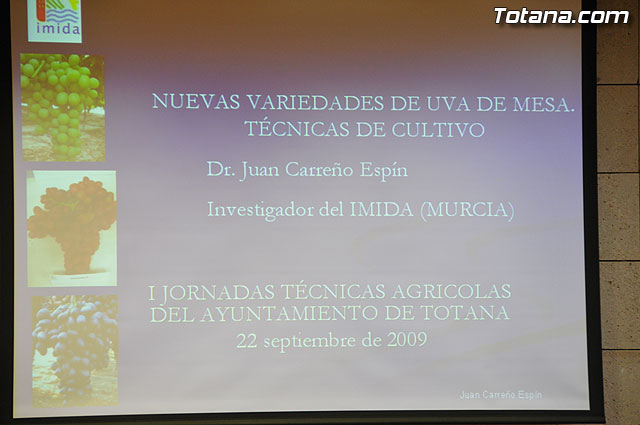 Alrededor de cincuenta personas participan en las primeras jornadas tcnicas sobre “La uva de mesa” - 7