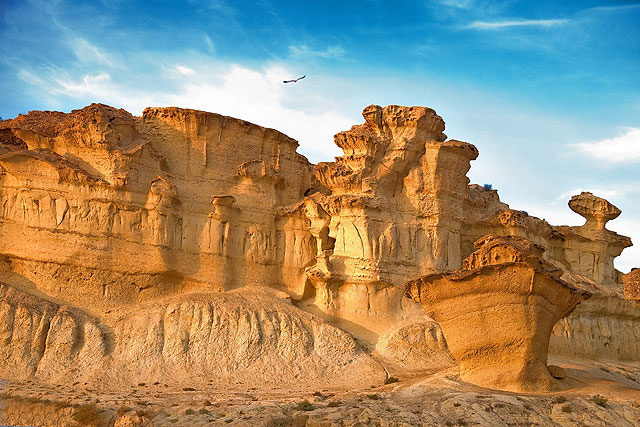 Frutos Molina, Tercer premio, Foto 3