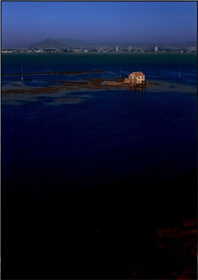 Colección ‘Natural RGB’, de Jesús Cartagena (tercer premio), Foto 3