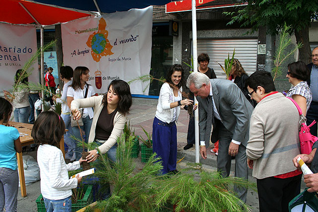 El Ayuntamiento reparte a los ciudadanos mil plantones de pino y palmito - 1, Foto 1