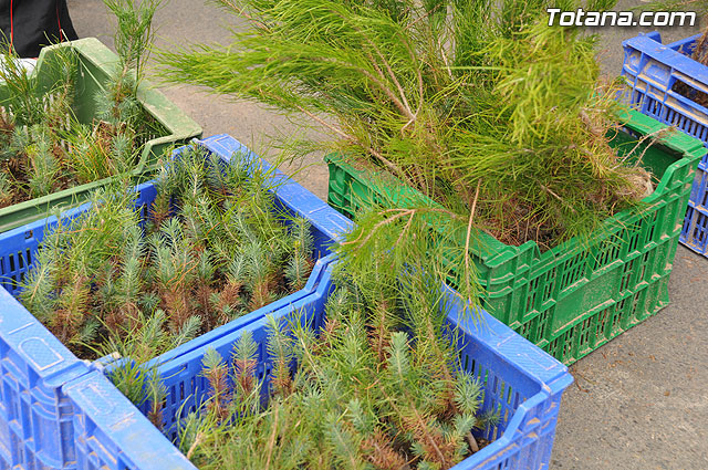 Se reparten 1.000 ejemplares de pino durante la tercera campaña regional 