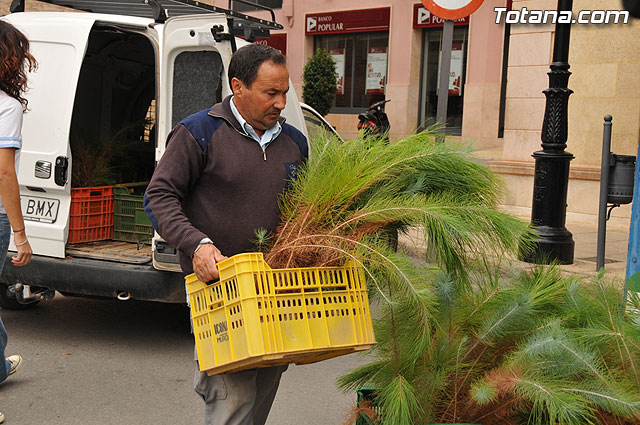 Se reparten 1.000 ejemplares de pino durante la tercera campaña regional 
