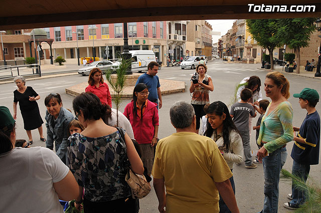 Se reparten 1.000 ejemplares de pino durante la tercera campaña regional 