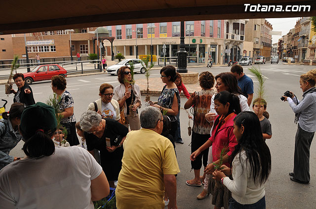 Se reparten 1.000 ejemplares de pino durante la tercera campaña regional 