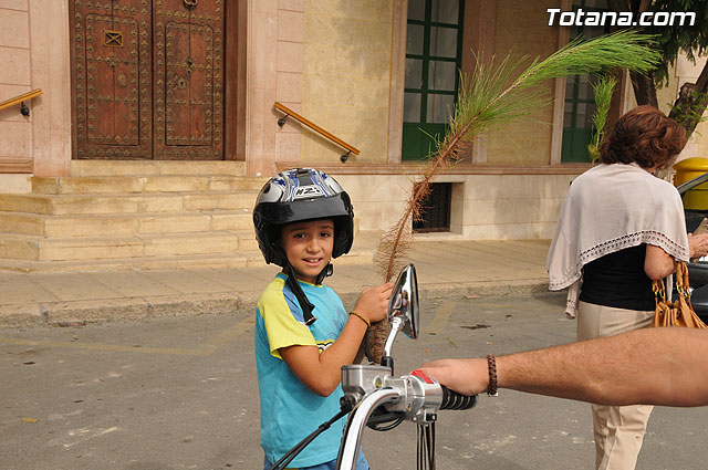 Se reparten 1.000 ejemplares de pino durante la tercera campaña regional 