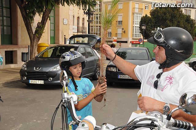 Se reparten 1.000 ejemplares de pino durante la tercera campaña regional 