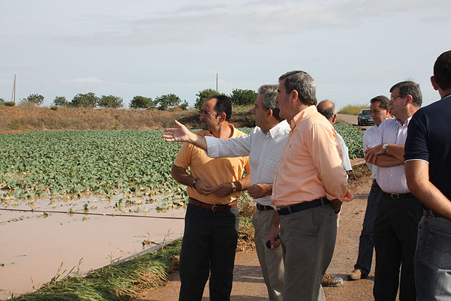 El consejero de Agricultura y Agua visita los cultivos del Campo de Cartagena anegados por las lluvias - 1, Foto 1